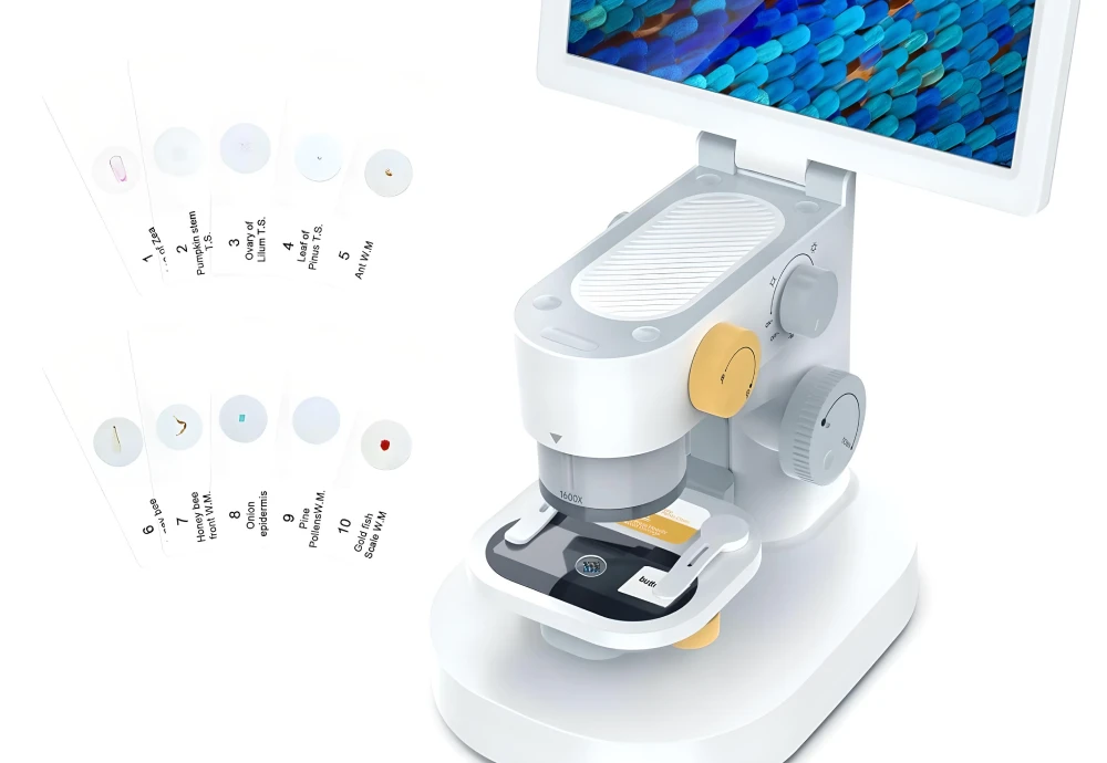 best microscope to buy