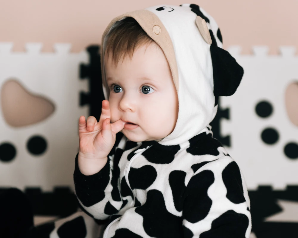 portable rocker bassinet