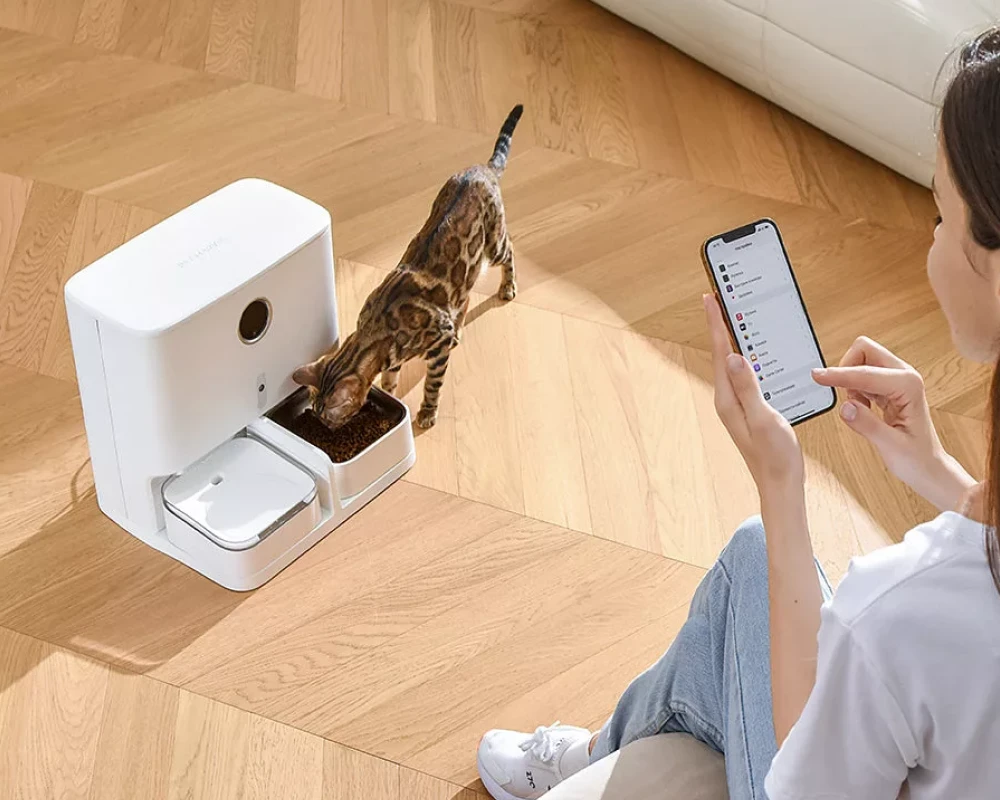 pet automatic food dispenser